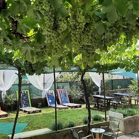 Muzica Bed & Breakfast